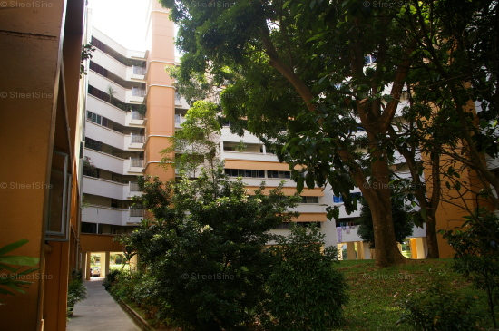 Blk 101 Bukit Batok West Avenue 6 (Bukit Batok), HDB 4 Rooms #333112